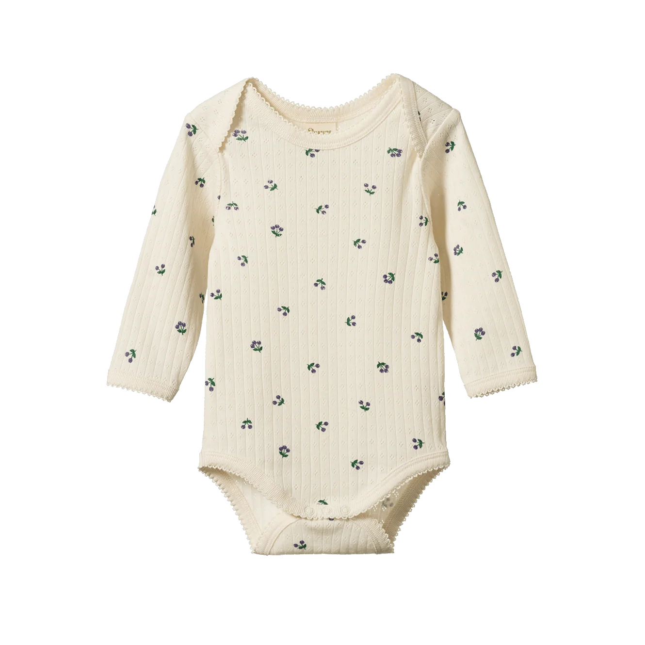 Pointelle Long Sleeve Bodysuit- Winter Berry
