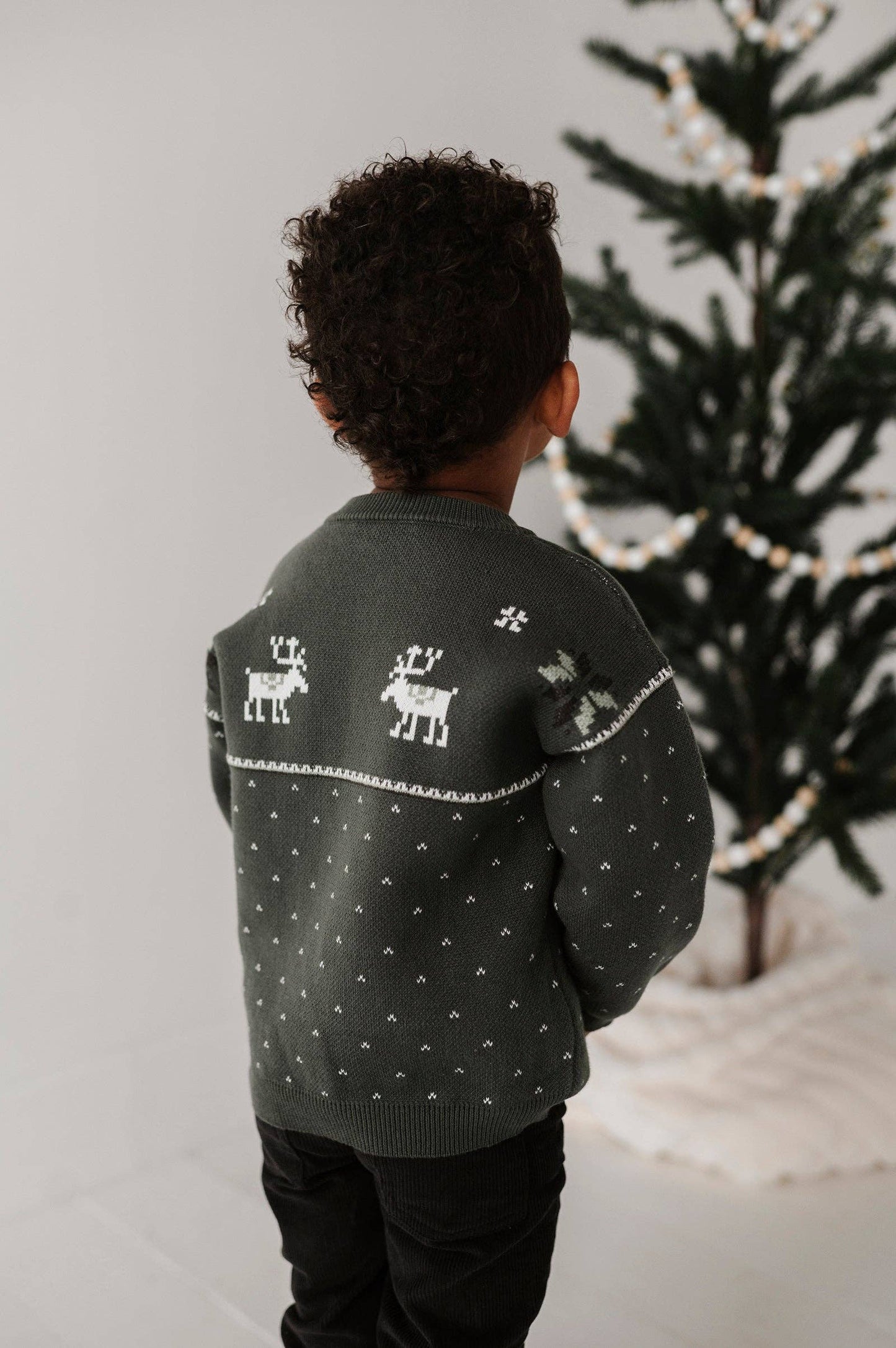 Knit Sweater-Moose