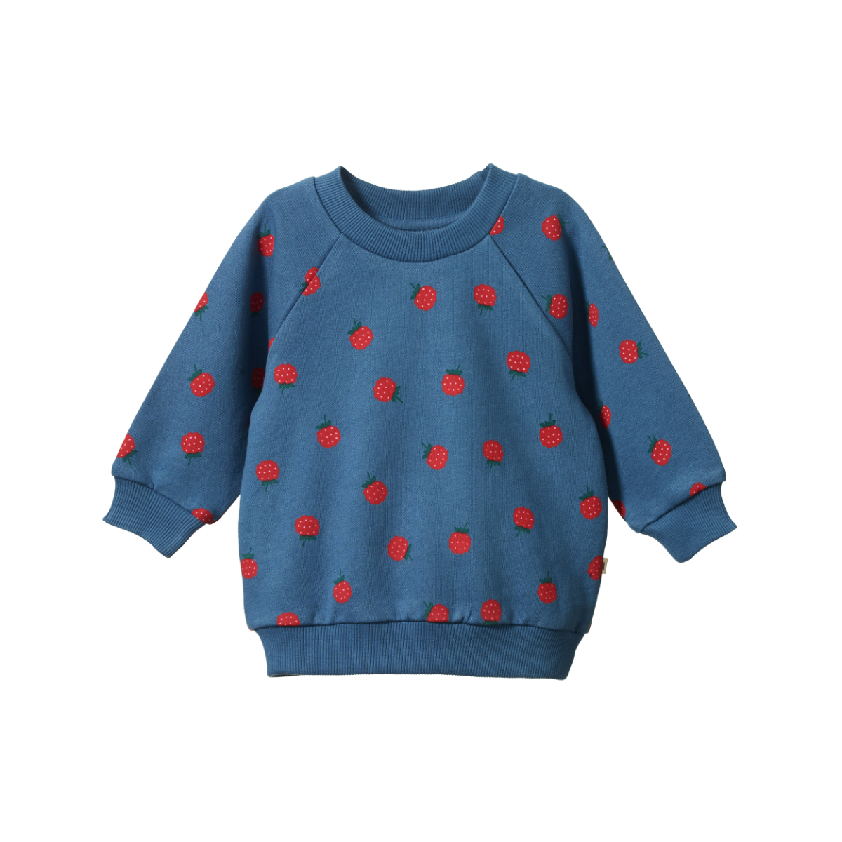 Emerson Sweatshirt- Raspberry Blue Print
