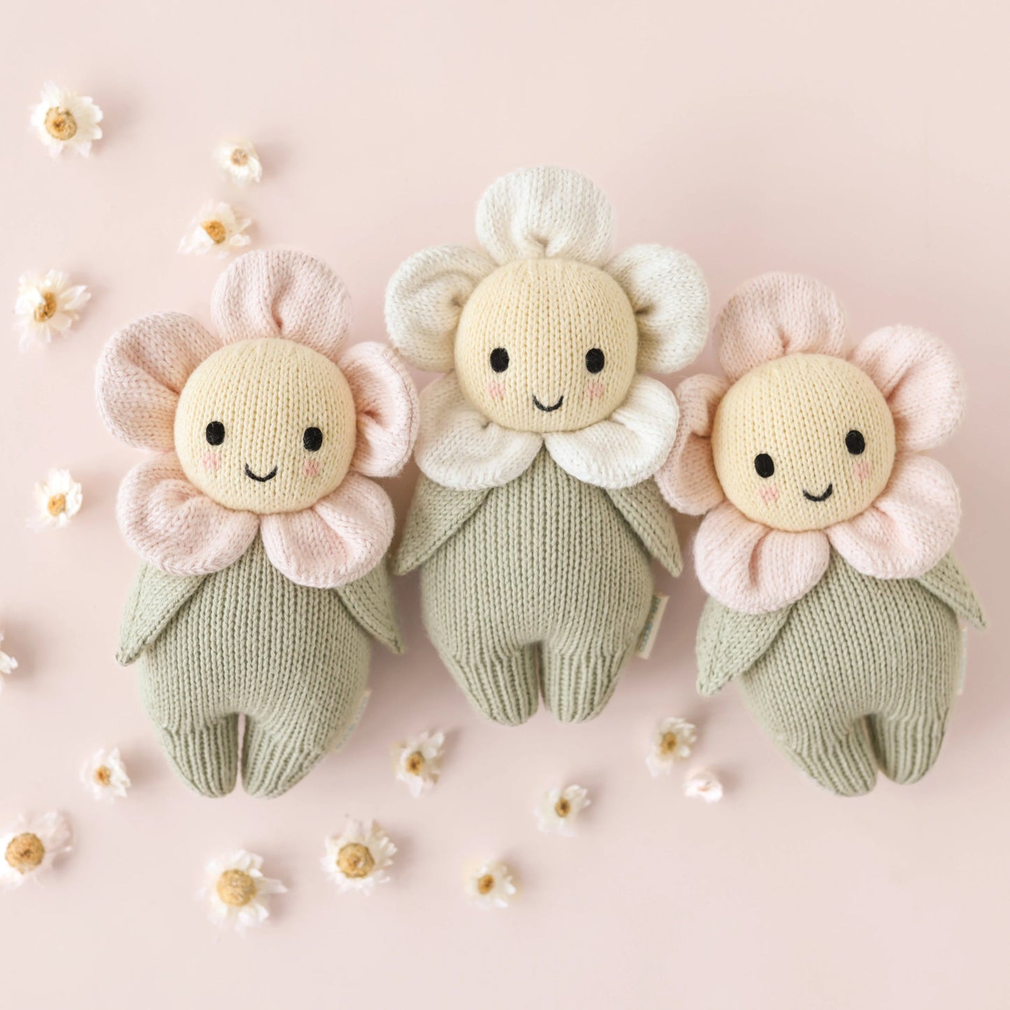 Baby Daisy- Blush Pink