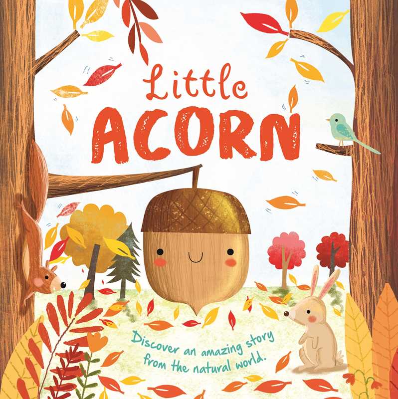 Little Acorn
