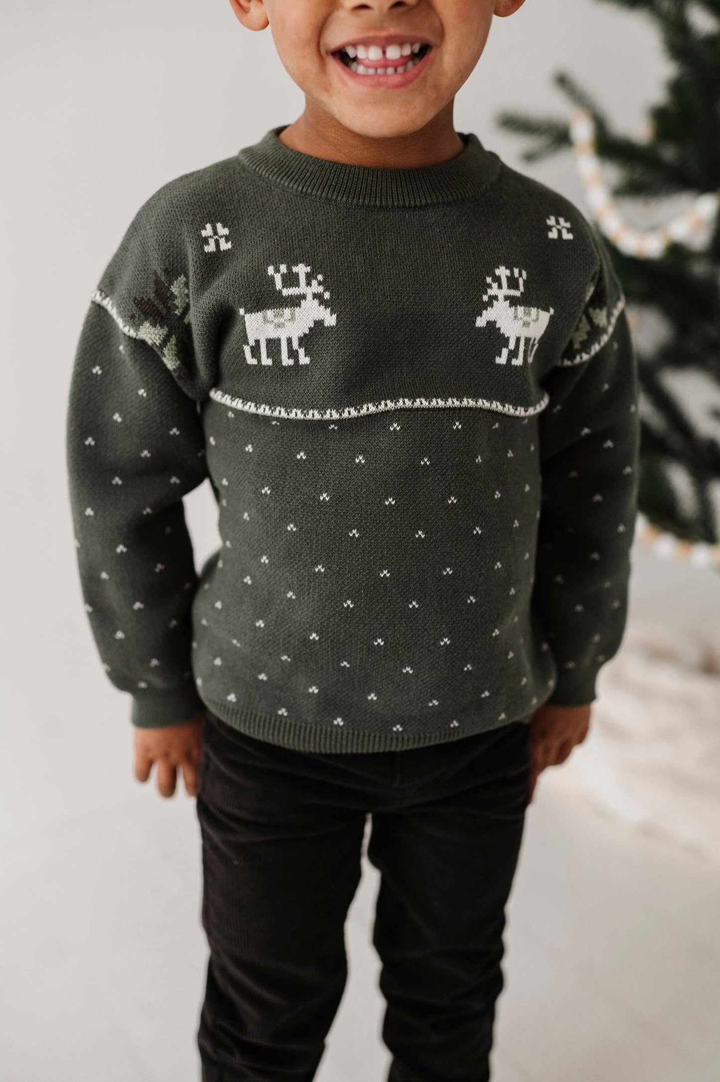 Knit Sweater-Moose