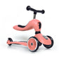 Scoot and Ride Highwaykick 1- Mixed Color Candy