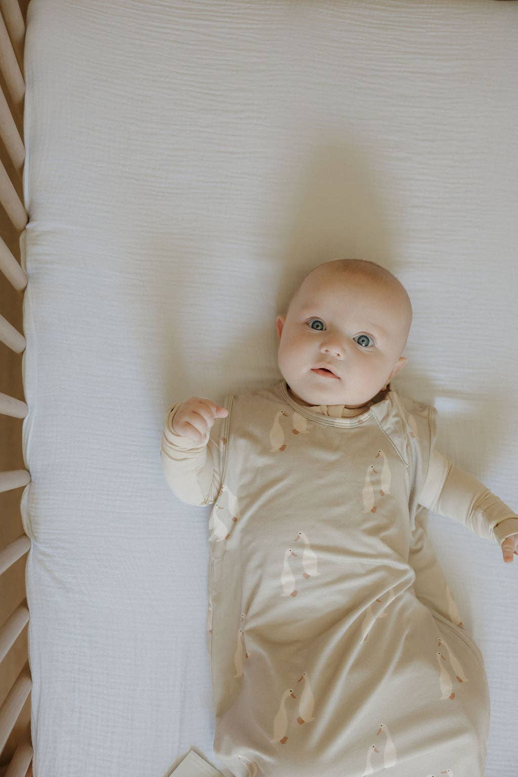 Bamboo Sleep Sack- Silly Goose 1.0 TOG