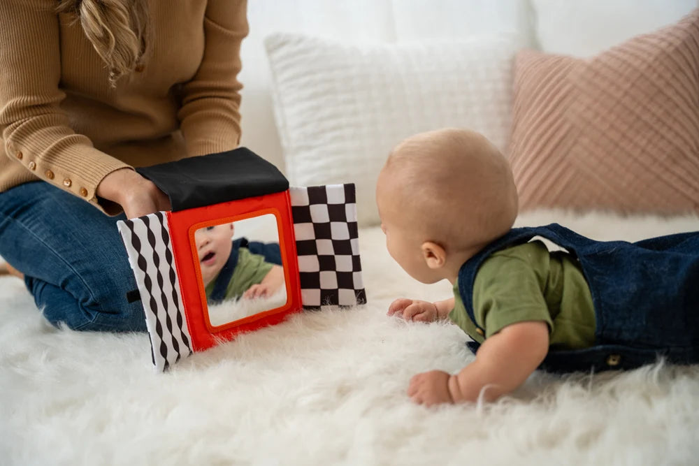 Wimmer Peek & Go Mirror