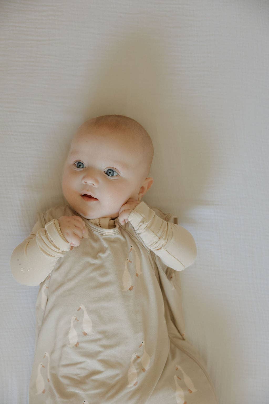 Bamboo Sleep Sack- Silly Goose 1.0 TOG