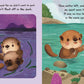 Little Otter