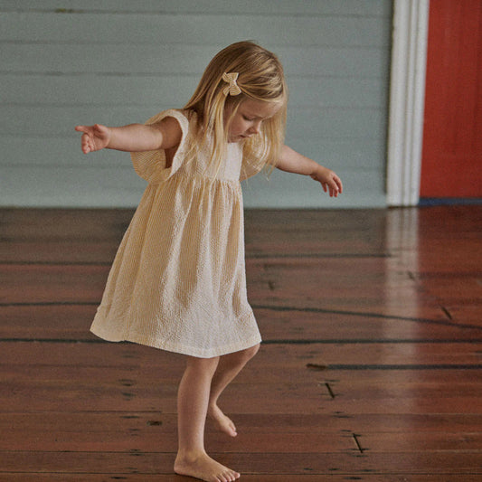 Bonnie Dress Seersucker