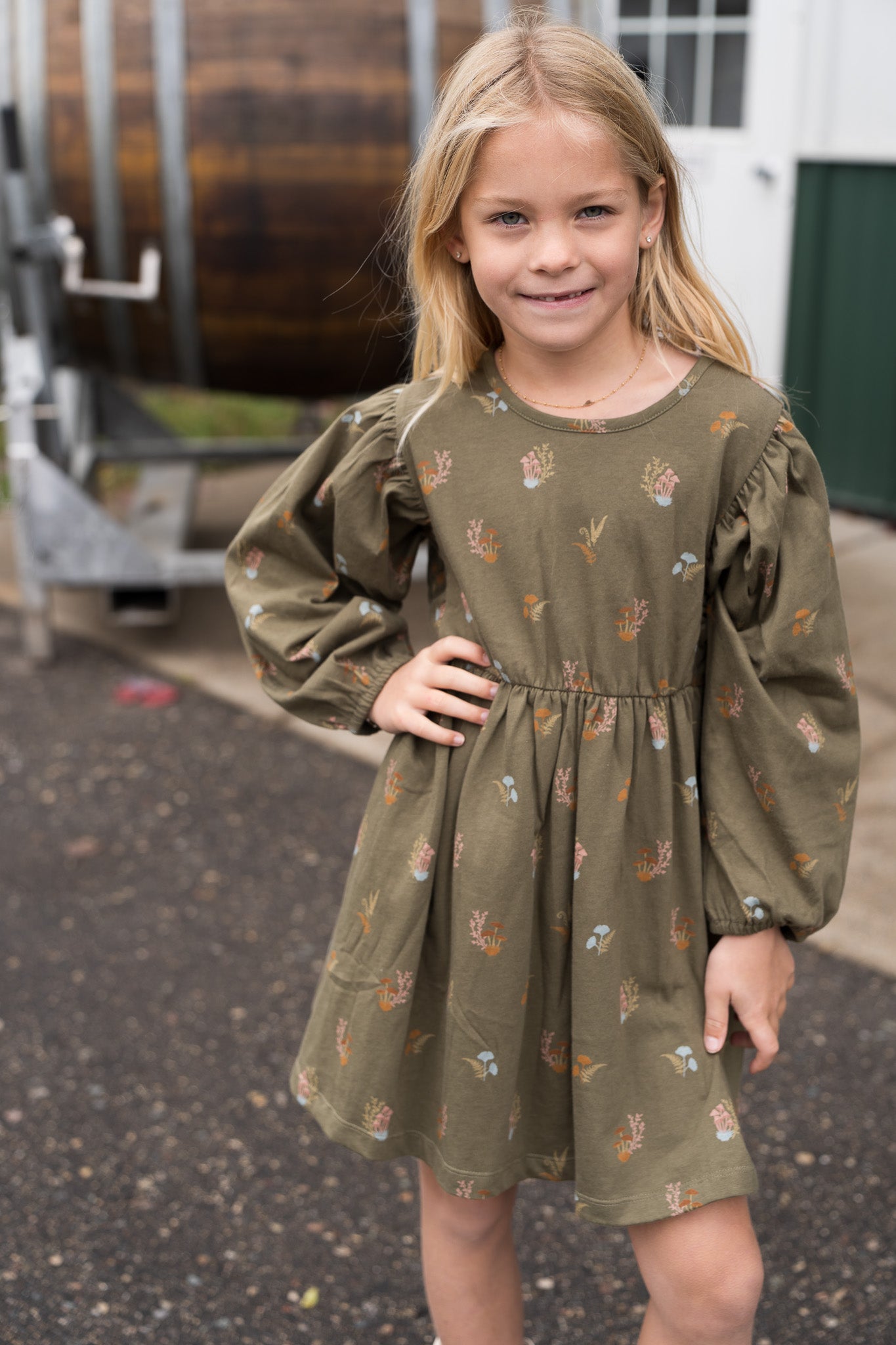 Puff Sleeve Dress- Lichen Mushrooms