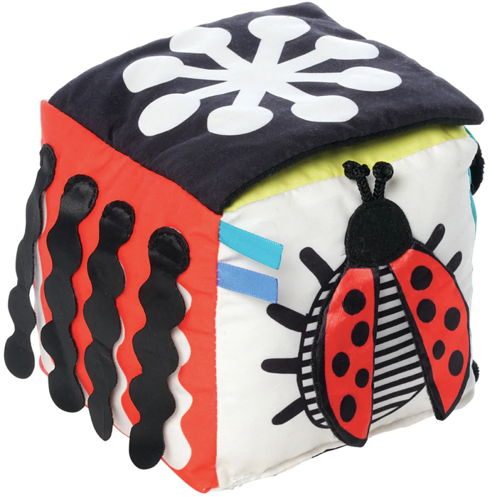 Wimmer Discovery Cube