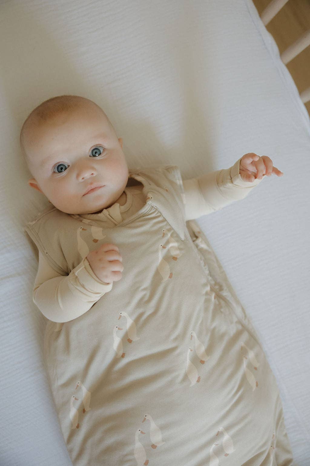 Bamboo Sleep Sack- Silly Goose 1.0 TOG
