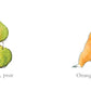 Orange Pear Apple Bear
