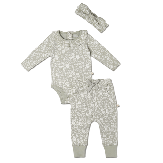 Organic Ruffle Onesie & Pants Set - Wildsage