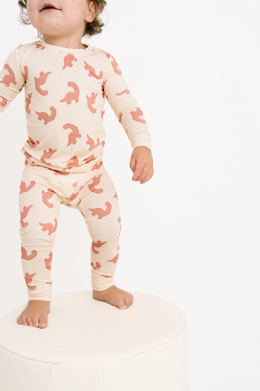 Boho Dino Bamboo Set