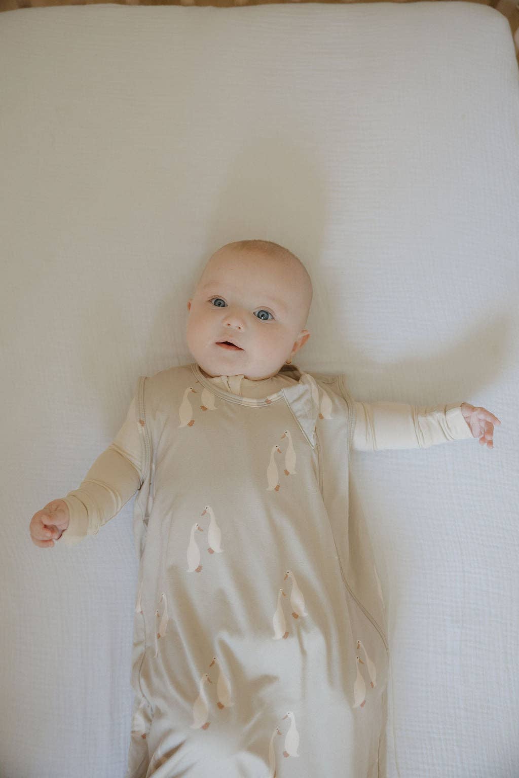 Bamboo Sleep Sack- Silly Goose 1.0 TOG