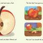 Nature Stories: Little Apple Tree
