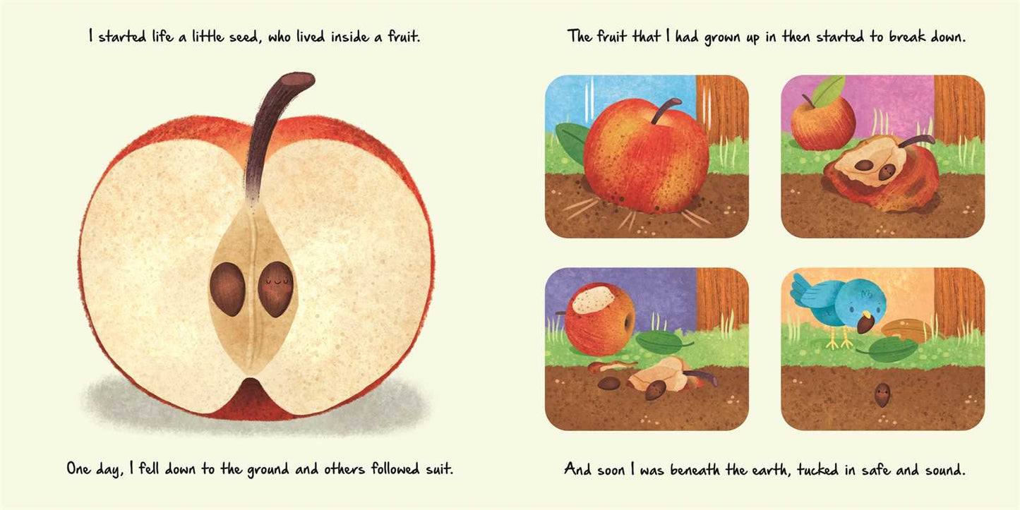 Nature Stories: Little Apple Tree