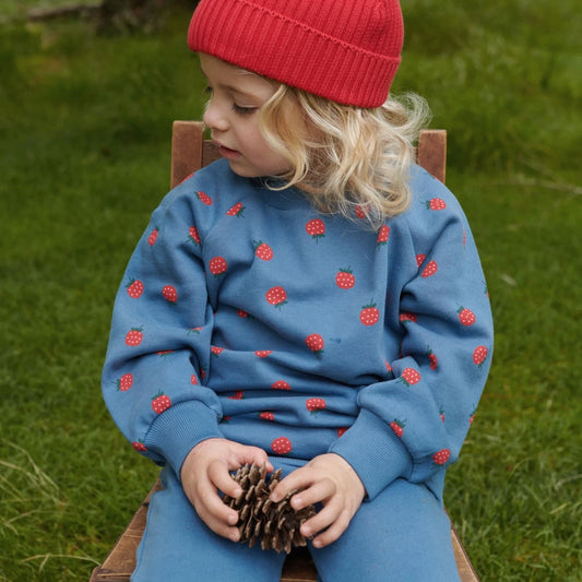 Emerson Sweatshirt- Raspberry Blue Print