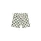 Boardshort- Coastal Check