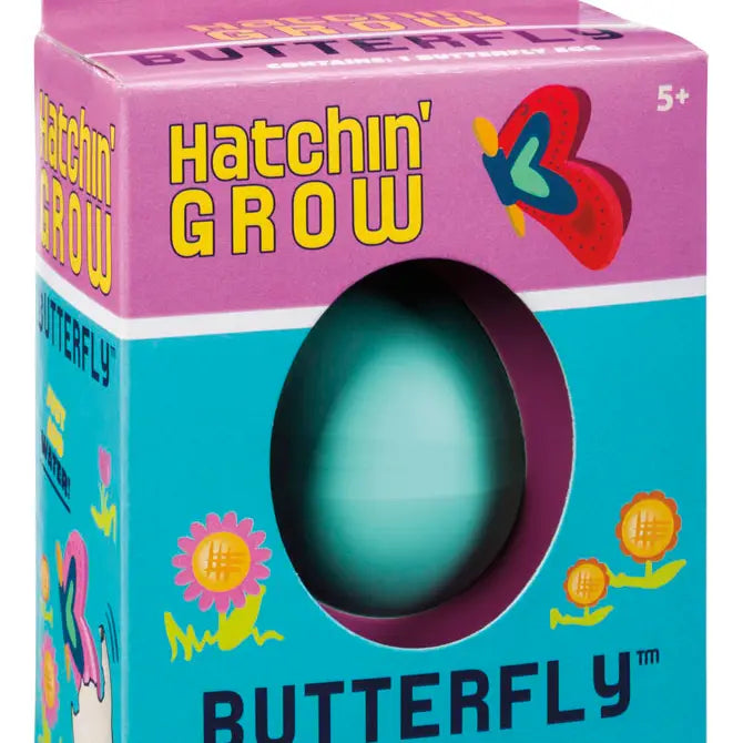 Hatch & Grow Butterfly