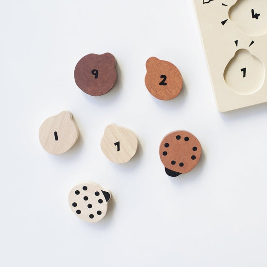 Wooden Tray Puzzle- Count to 10 Ladybugs